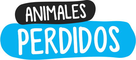 MSM Animales Perdidos | Encontrá a tu mascota