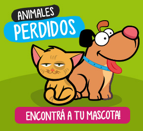 MSM Animales Perdidos | Encontrá a tu mascota