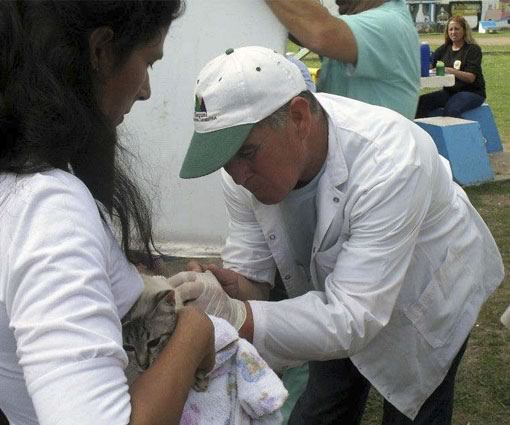 Continua el plan de castracion y vacuncacion de Zoonosis