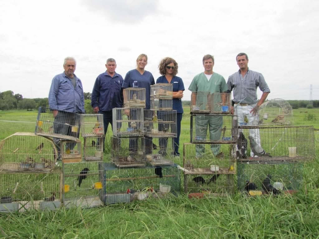 El equipo de zoonosis apunto de liberar las aves.