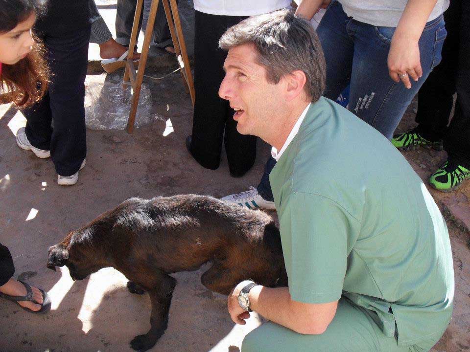 el cronograma el Zoonosis contempla la castración de perros y gatos