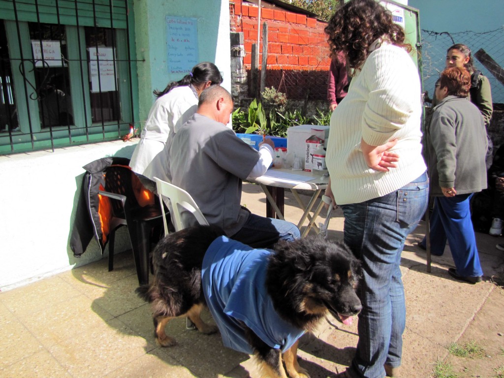 El cronograma el Zoonosis contempla la castración de perros y gatos, esterilizando a  las hembras y castrando a  los machos