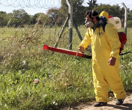 San Miguel presenta cronograma de fumigaciones preventivas