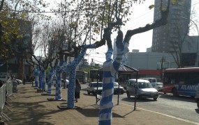 La Plaza de las Carretas se tiñó de albiceleste