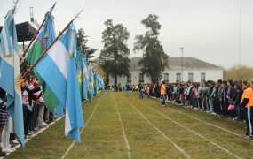 BANDERAS OLIMPÍADAS