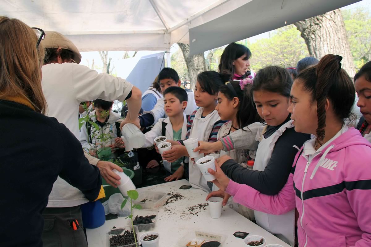 Los chicos realizaron muestras de germinación de distintas plantas