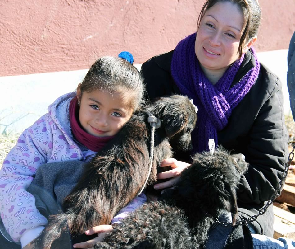 Los vecinos se acercaron al Polideportivo para castrar a sus mascotas