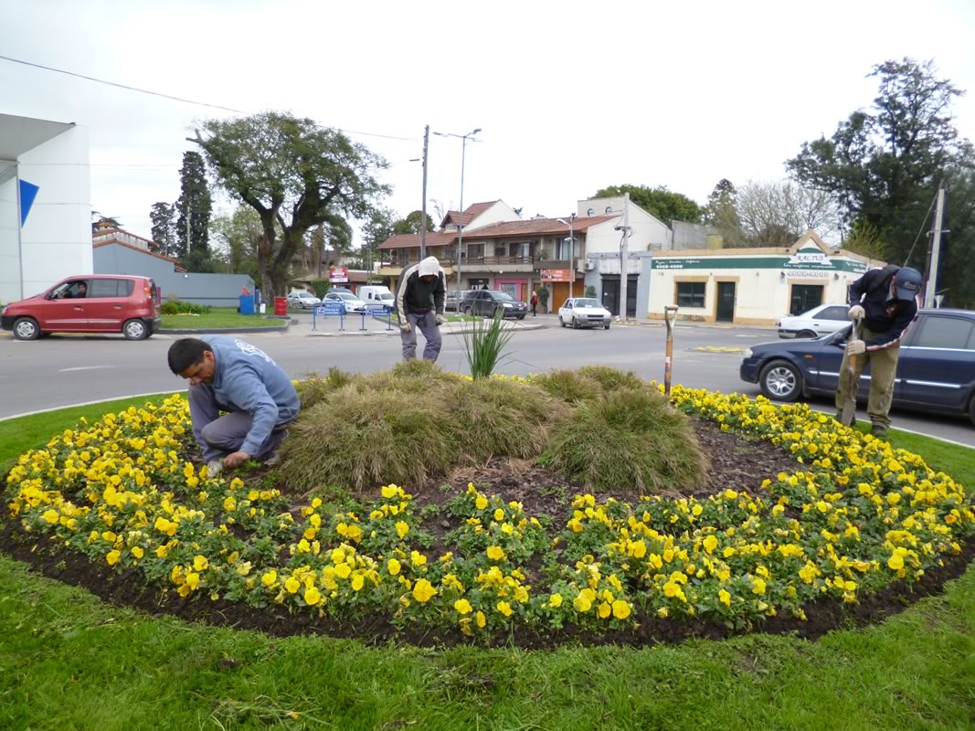 Mantenimiento de Espacios Verdes