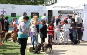 Una de las áreas más solicitadas fue la de Zoonosis a través de las castraciones y vacunaciones gratuitas