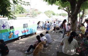 Se castró y vacunó a cientos de animales en la unidad sanitaria móvil