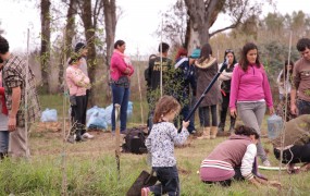 Se plantaron arboles nativos