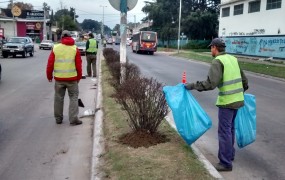 barrido