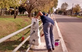 el equipo trabajando (3)