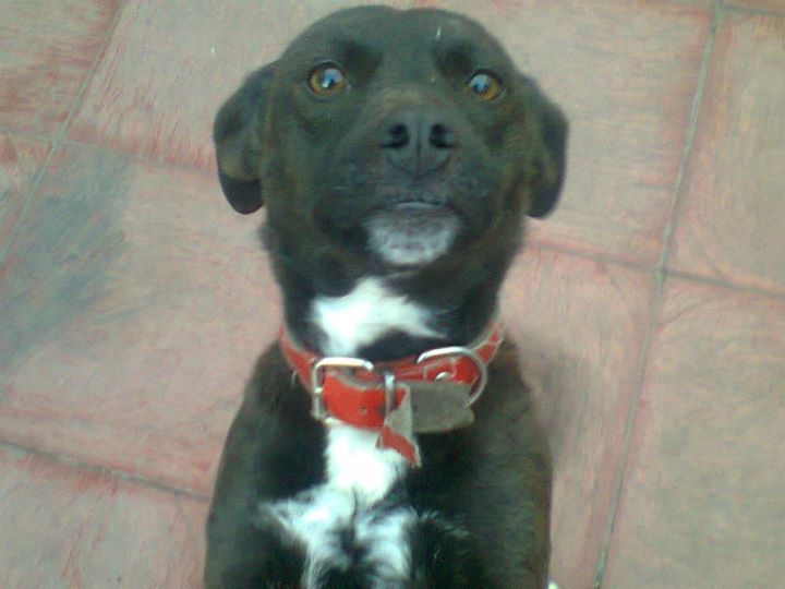 Wanda