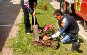 Una frentista ya empezó a mejorar su cuadra