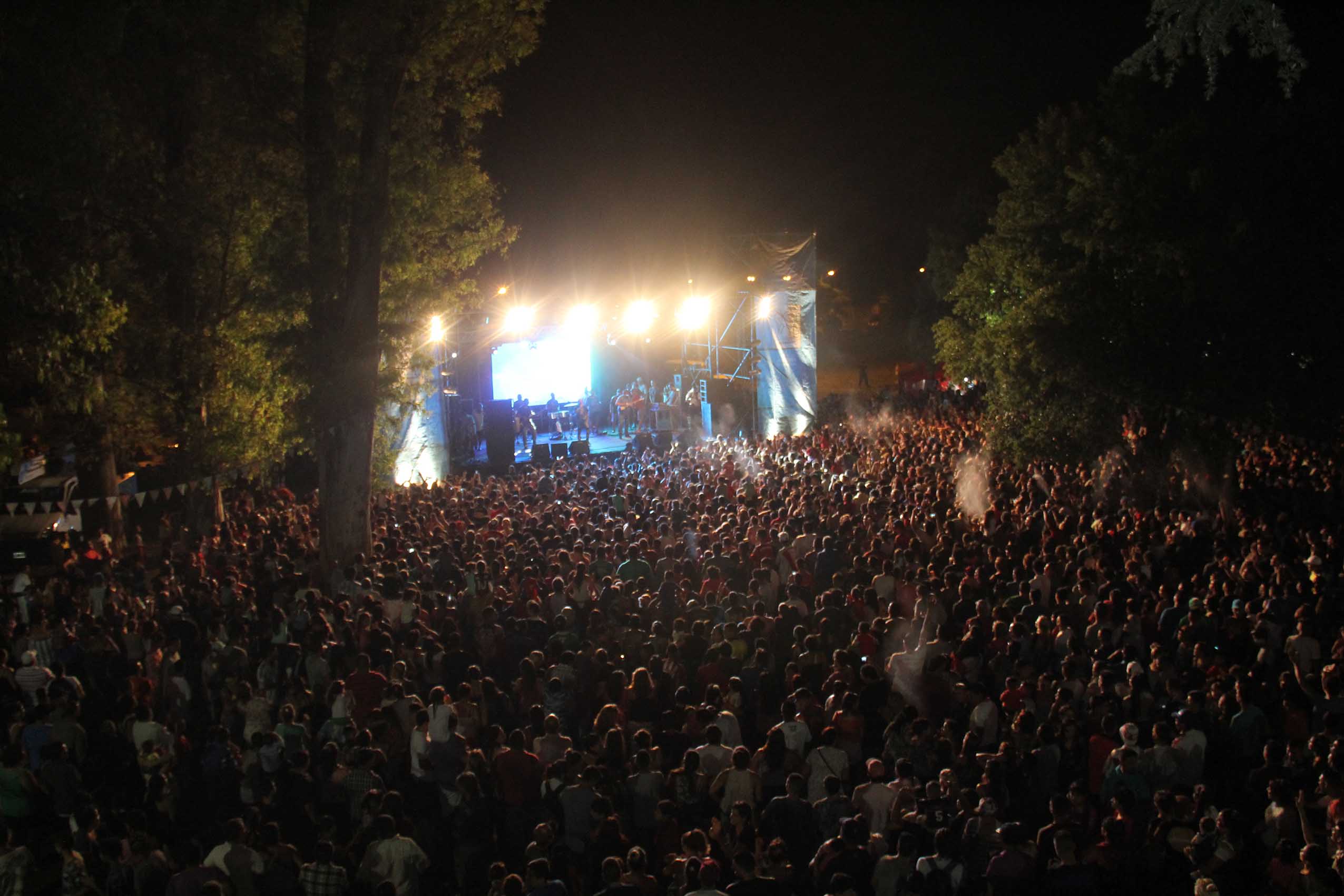 Más de 40 mil personas disfrutaron del gran Carnaval en San Miguel