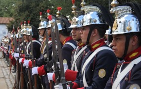 El regimiento de artillería 1 brigadier general iriarte participó del acto