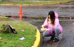 La iniciativa tuvo lugar en la plaza Malvinas, en Bella Vista