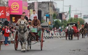 El desfile de carretas fue uno de los atractivos del acto