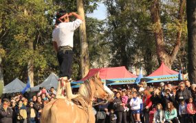 La doma se llevó los aplausos de todos