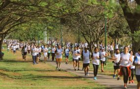 la-maraton-desde-el-corredor-aerobico