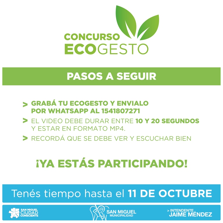 ecogesto pasos