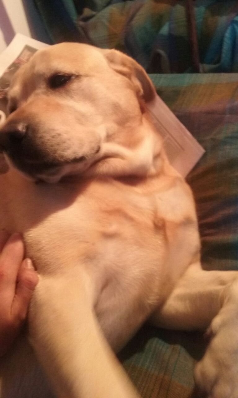 Roco