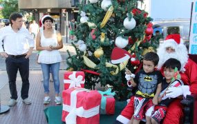 el-arbol-de-navidad-en-la-plaza-de-san-miguel