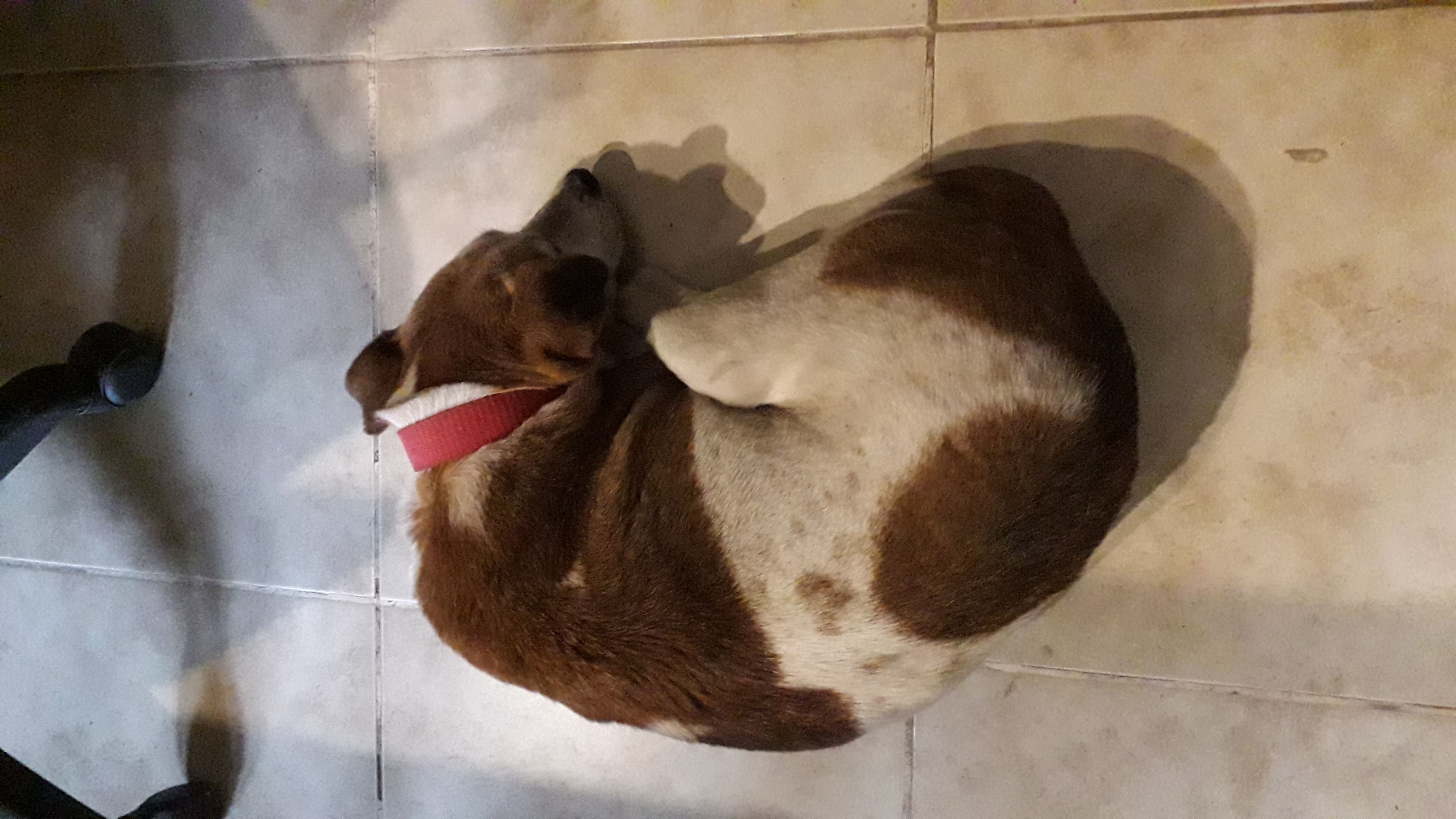 Desconocido