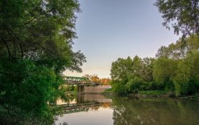 Arrancaron las obras para fortalecer la Reserva Natural Urbana de San Miguel