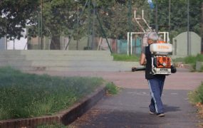 Intensificamos nuestra campaña de prevención del dengue