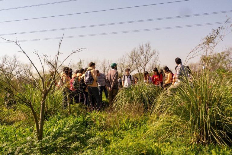 Lanzamos nuevos talleres y actividades sobre el ambiente