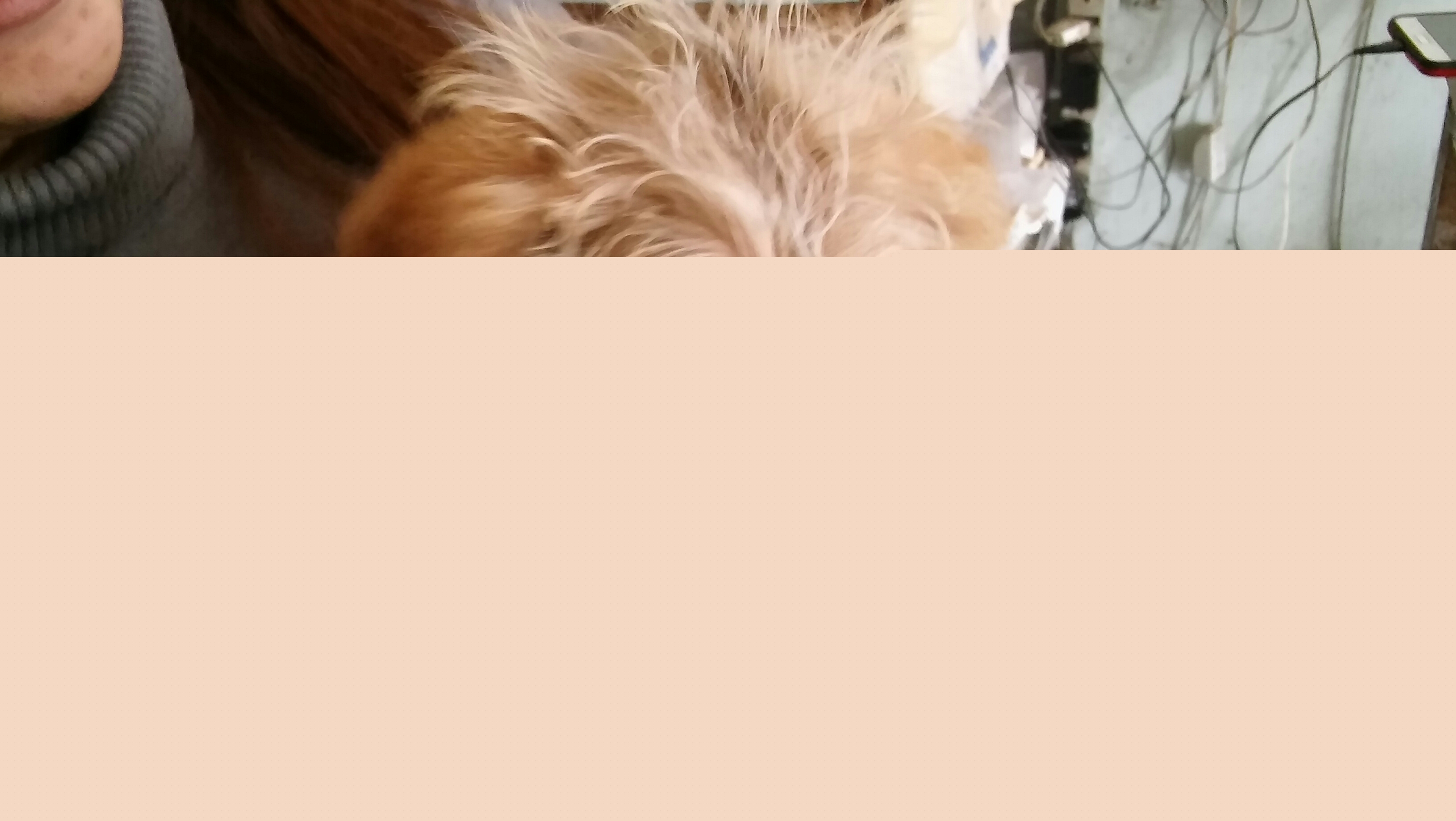 20160924131358_359865060994632_20160924_131440jpg